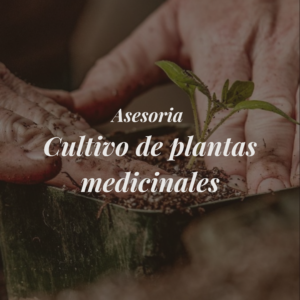 sesión 1:1 respira y medita (30 min)