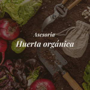 sesión 1:1 respira y medita (30 min)