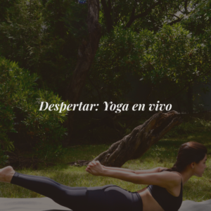 sesión 1:1 camino al bienestar (primer encuentro)