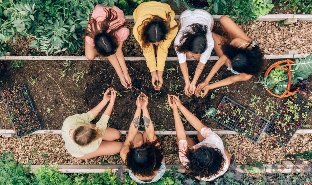 c9480fb2472c0c974462d76d5b03753f