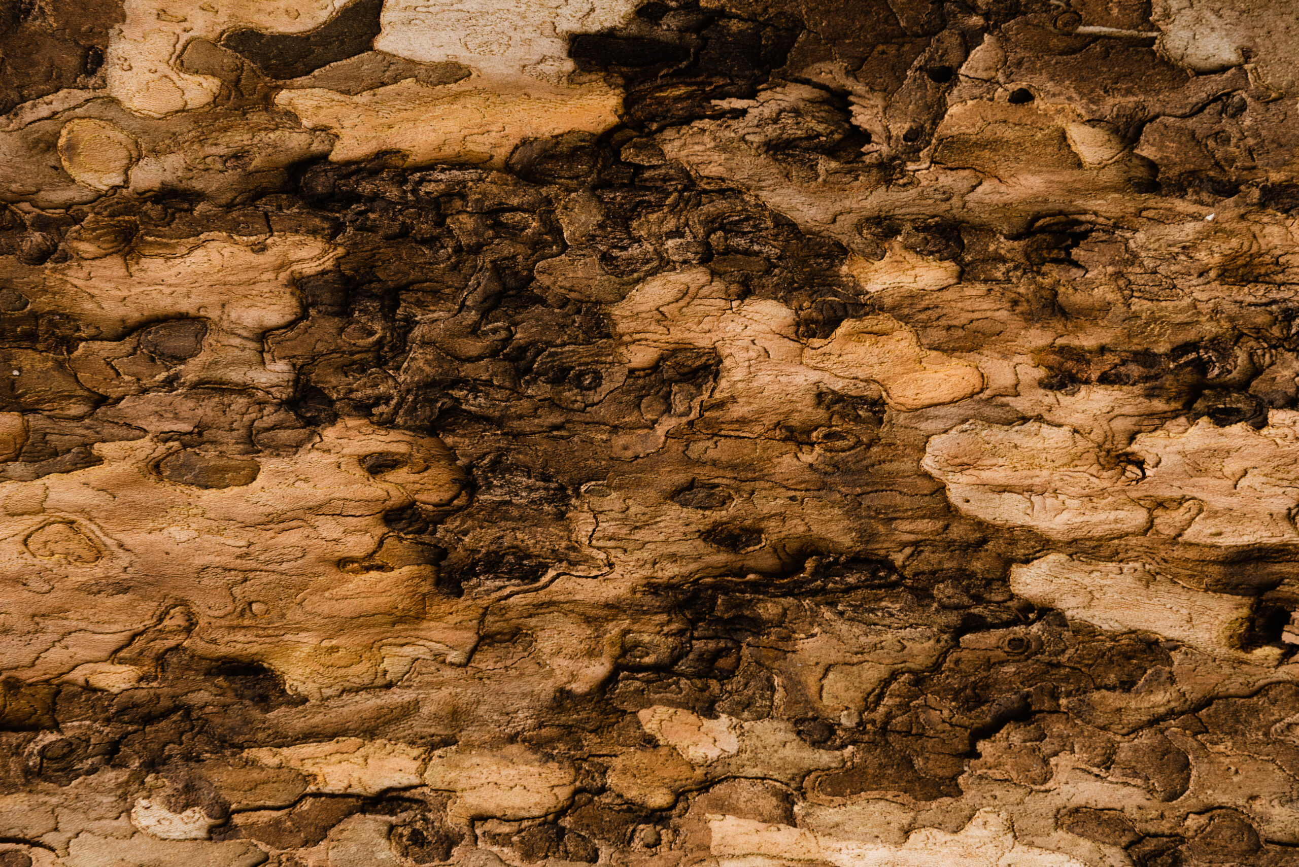 gravel background texture outdoors design