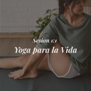 sesión 1:1 respira y medita (30 min)